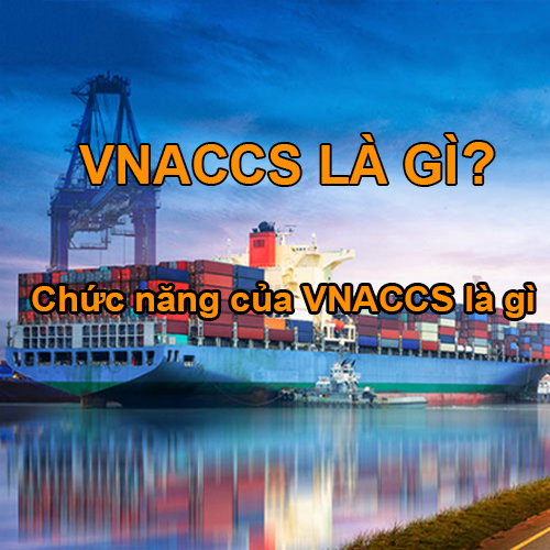 VNACCS là gì? 