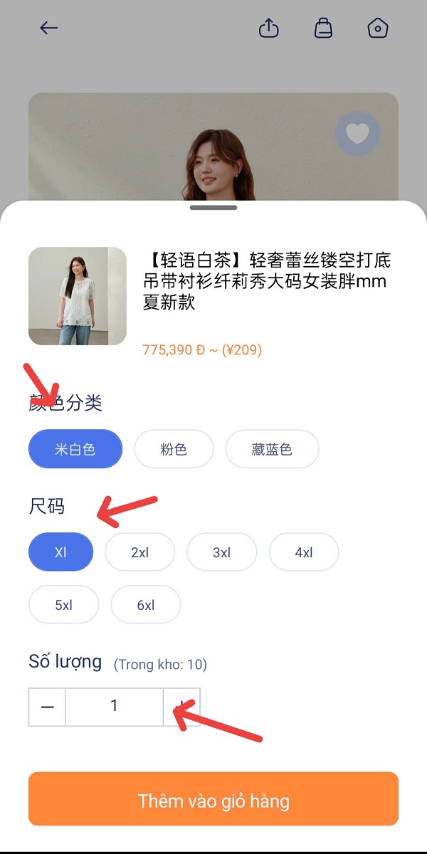 cách order hàng Quảng Châu