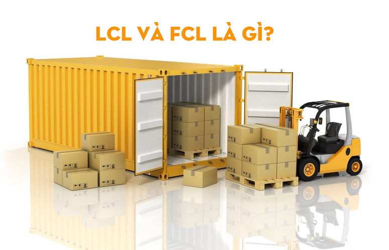 LCL và FCL là gì